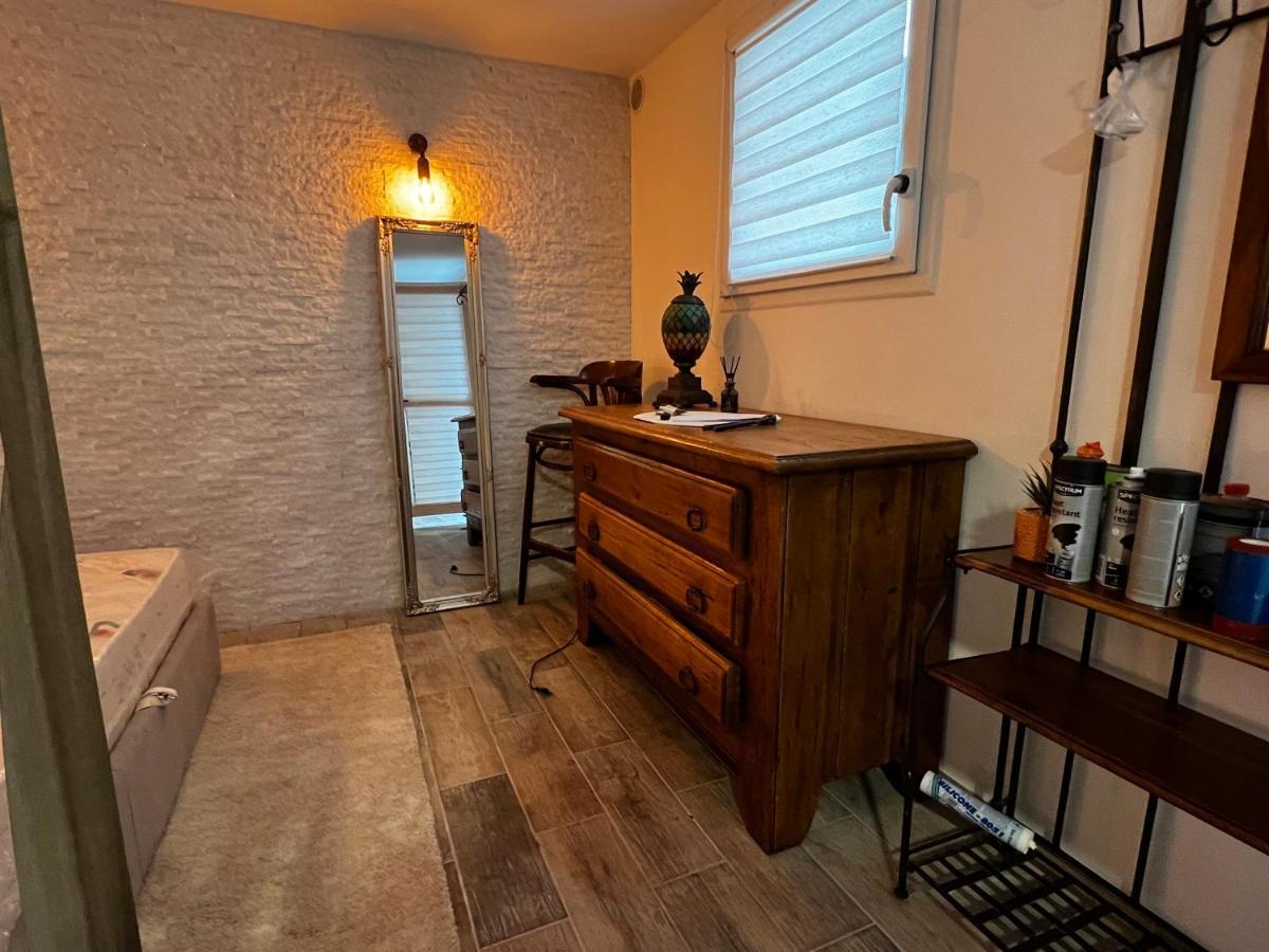Superbe Appart Avec Jardin Prive Proche Paris Apartment Nogent-sur-Marne Ngoại thất bức ảnh